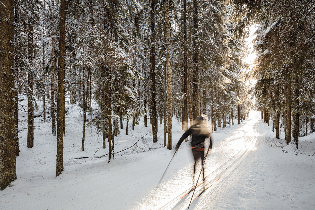 Kuva toimipisteestä: Mellunmäki-Mustavuori latu 1,5 km