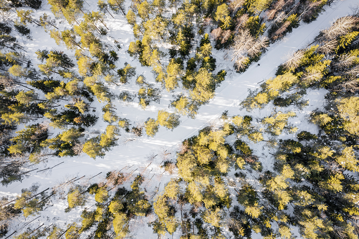 Kuva toimipisteestä: Mustavuori-Vuosaarensilta latu 2,8 km