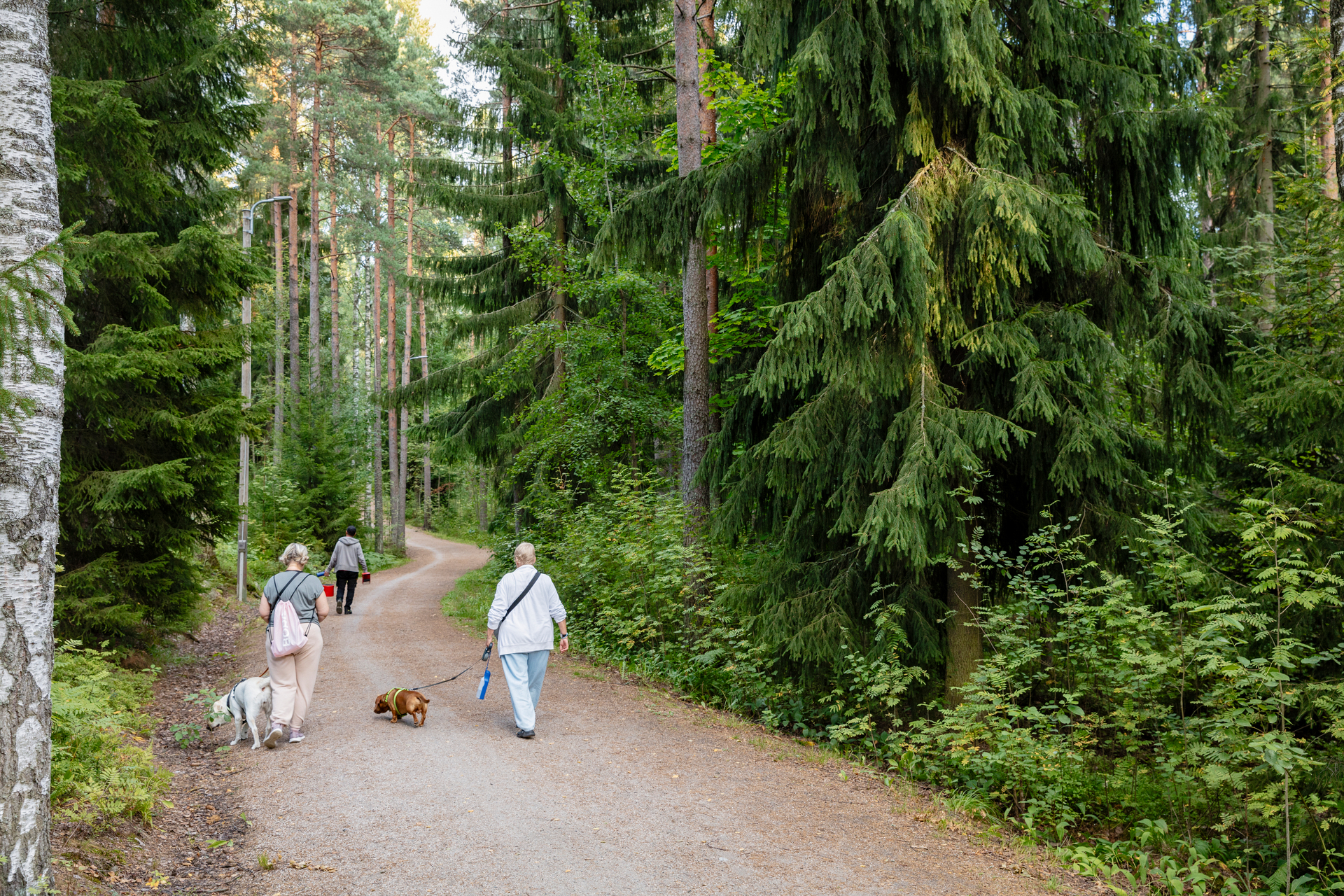 Kuva toimipisteestä: Kivikon välitie