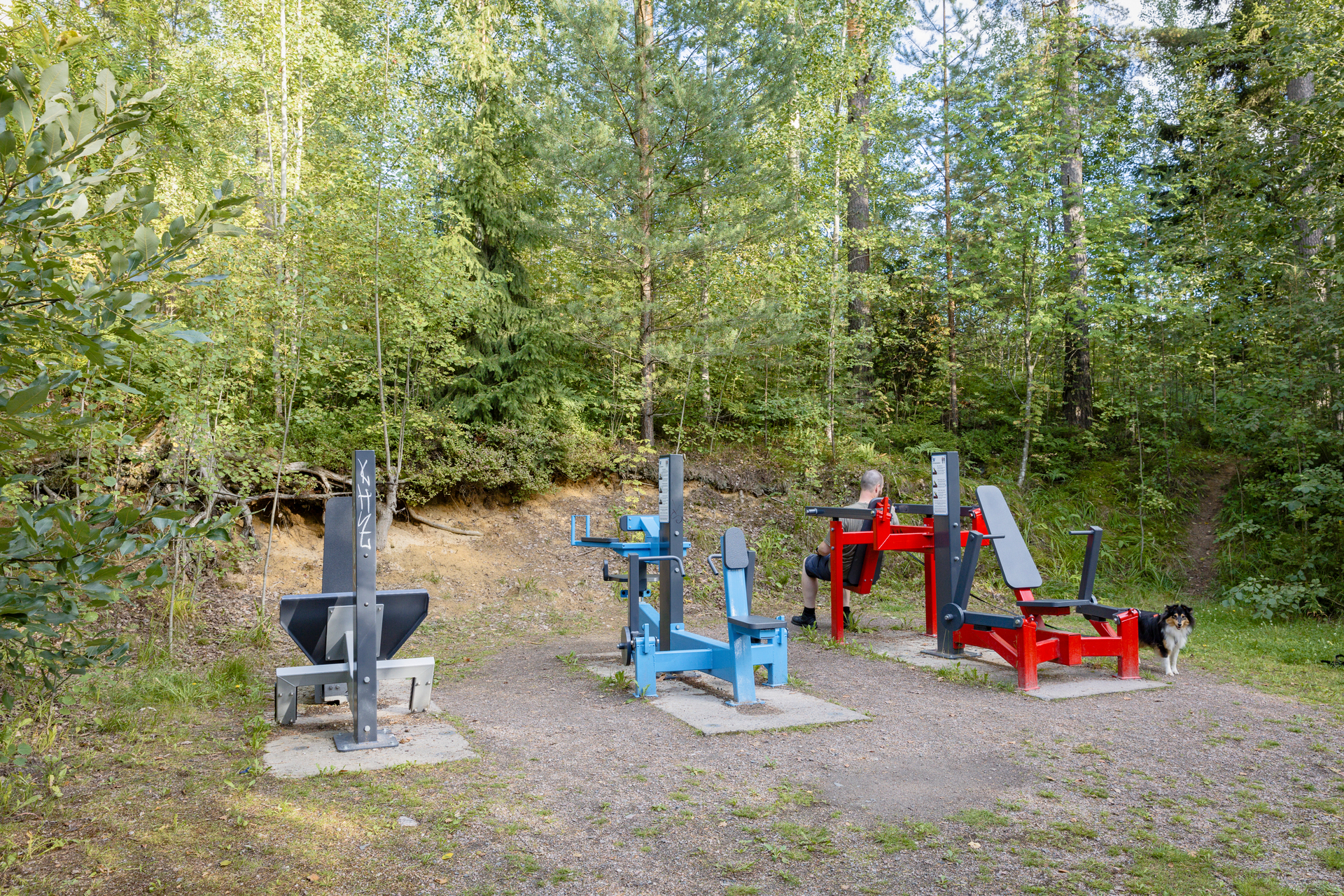 Kuva toimipisteestä: Kivikon kuntorata / Ulkokuntoilupaikka
