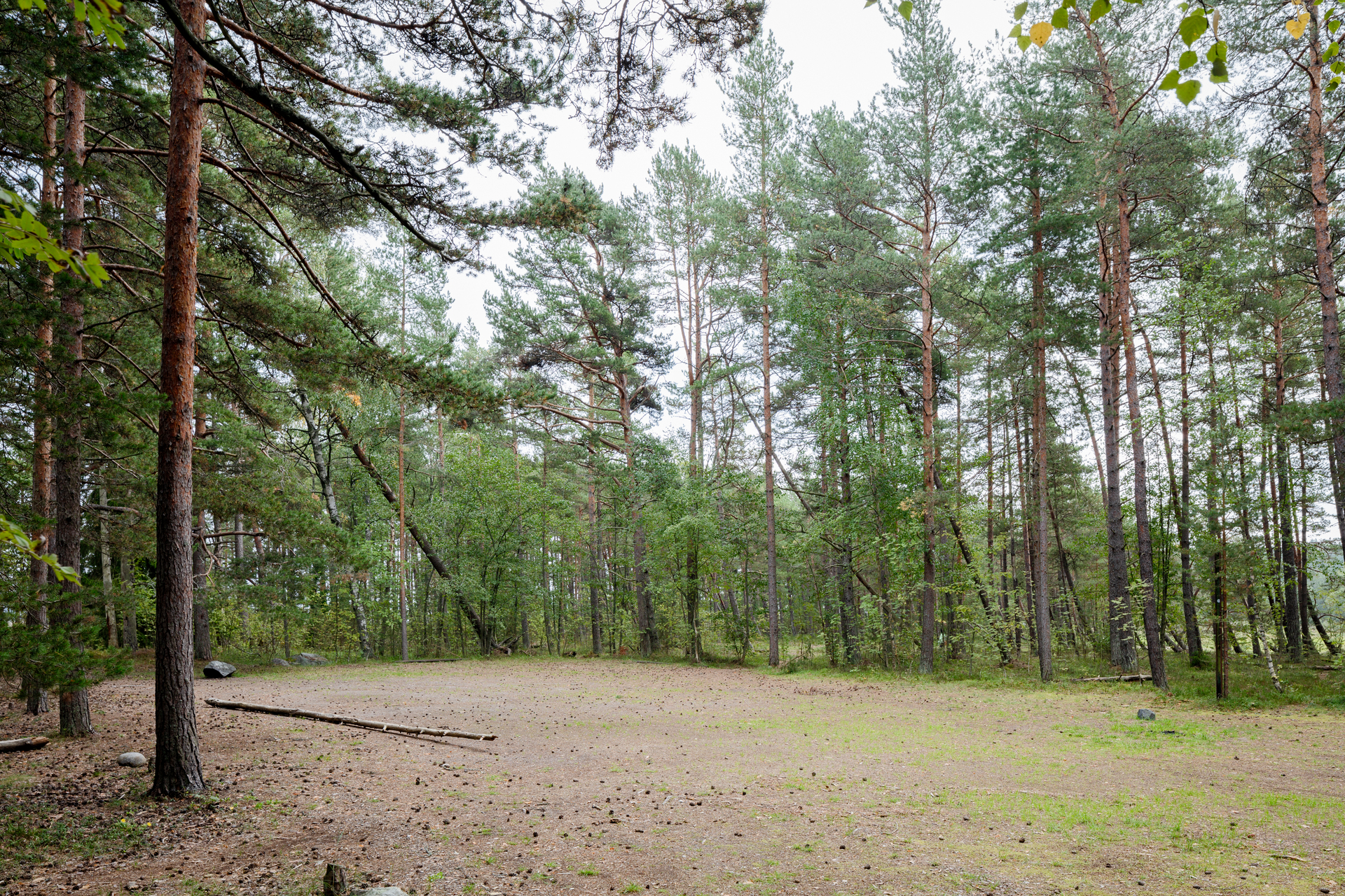 Picture of service point: Kallahdenniemi beach / Volleyball court