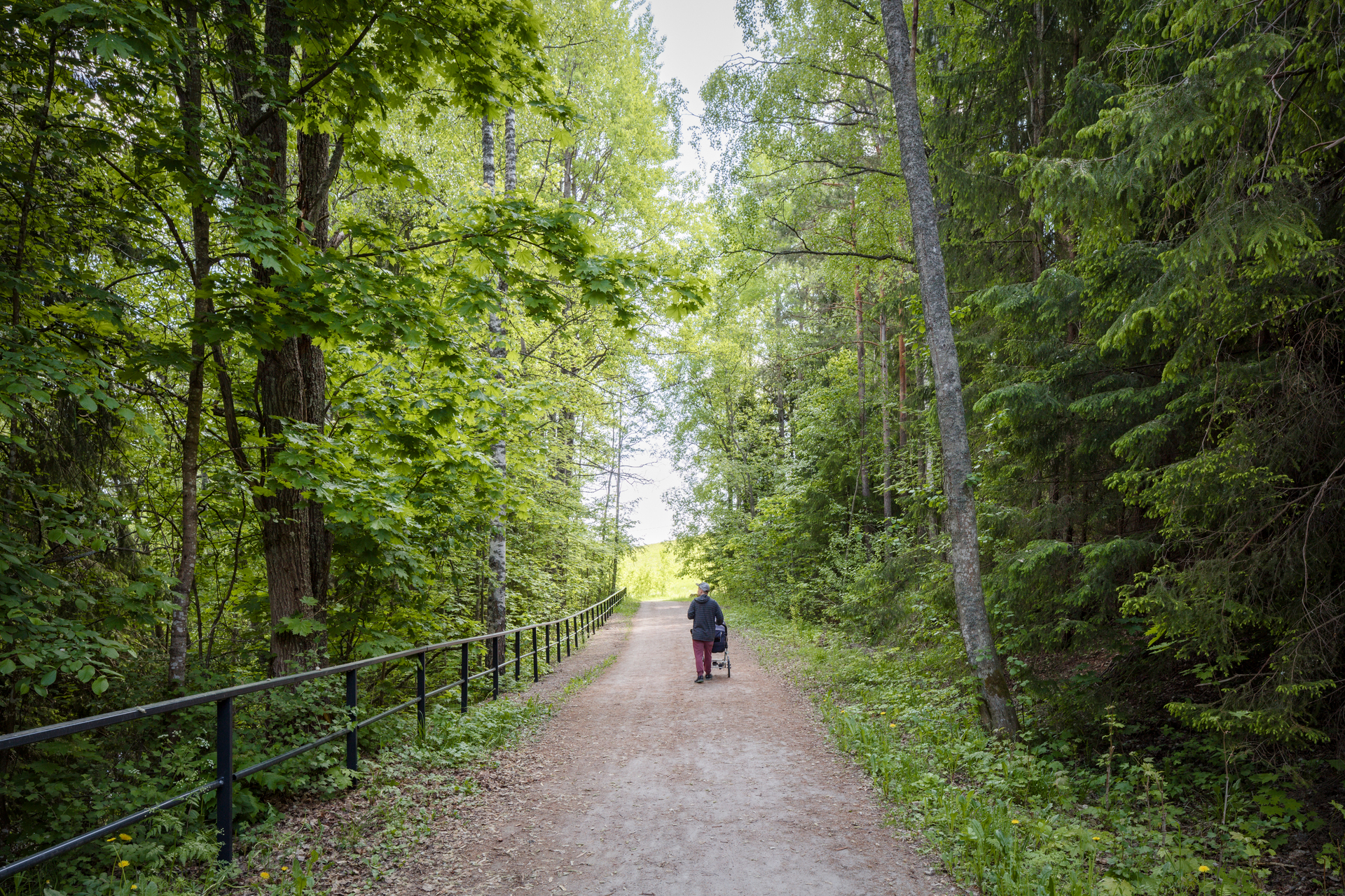 Kuva toimipisteestä: Mustavuori-Talosaari kuntorata 5,5 km